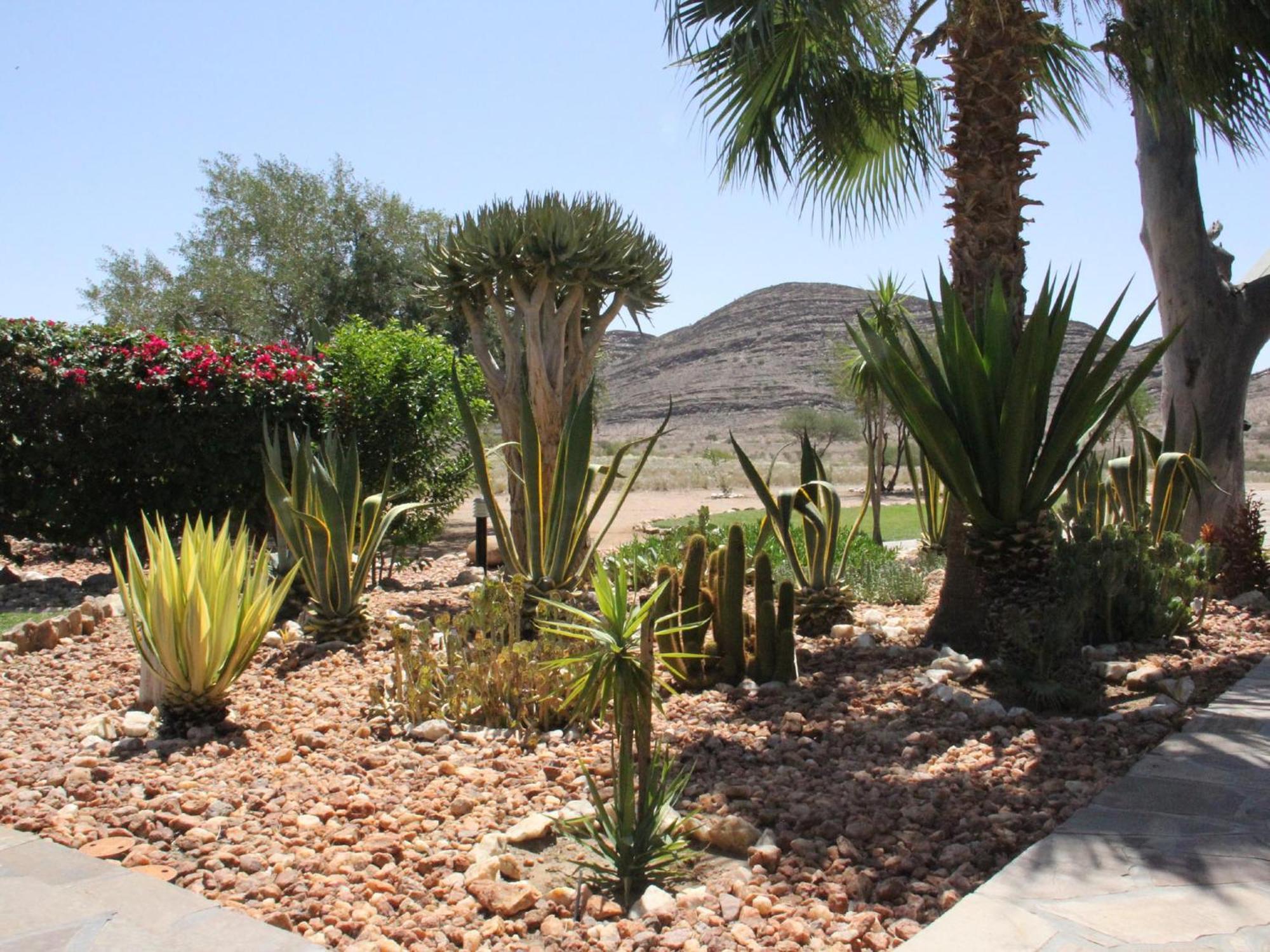 Rooisand Desert Ranch Chausib Pokoj fotografie